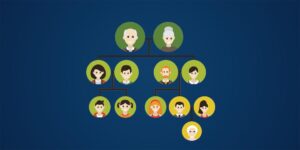 successione necessaria